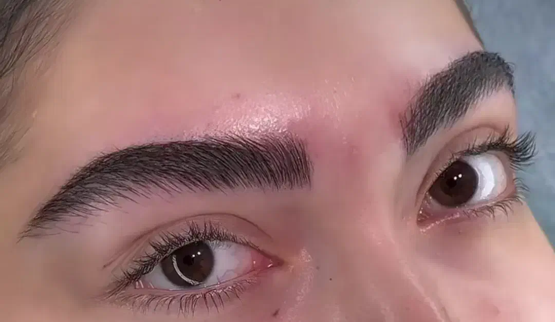 میکروابرو شیدینگ لب|خدمات آرایشگری و زیبایی|همدان, |دیوار