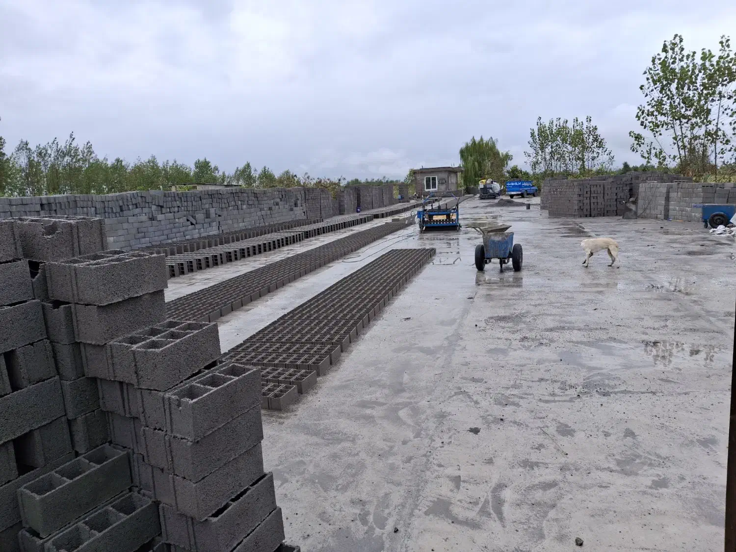 بلوک تولیدی بلوک پوکه ای سبک|مصالح و تجهیزات ساختمان|آمل, |دیوار