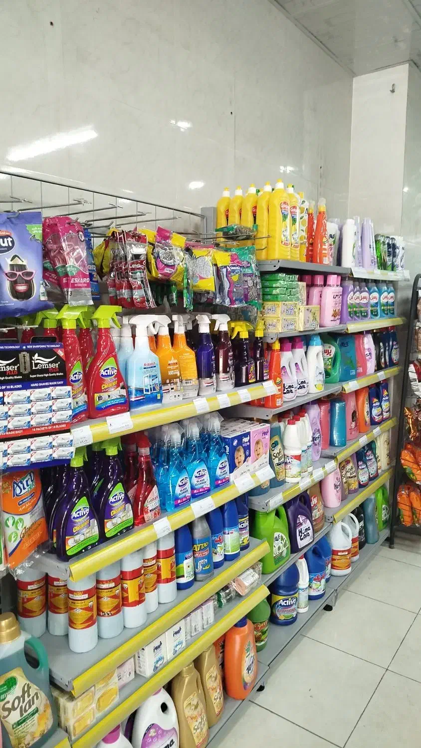 تخفیف انواع شوینده|مواد شوینده و دستمال کاغذی|دوگنبدان, |دیوار