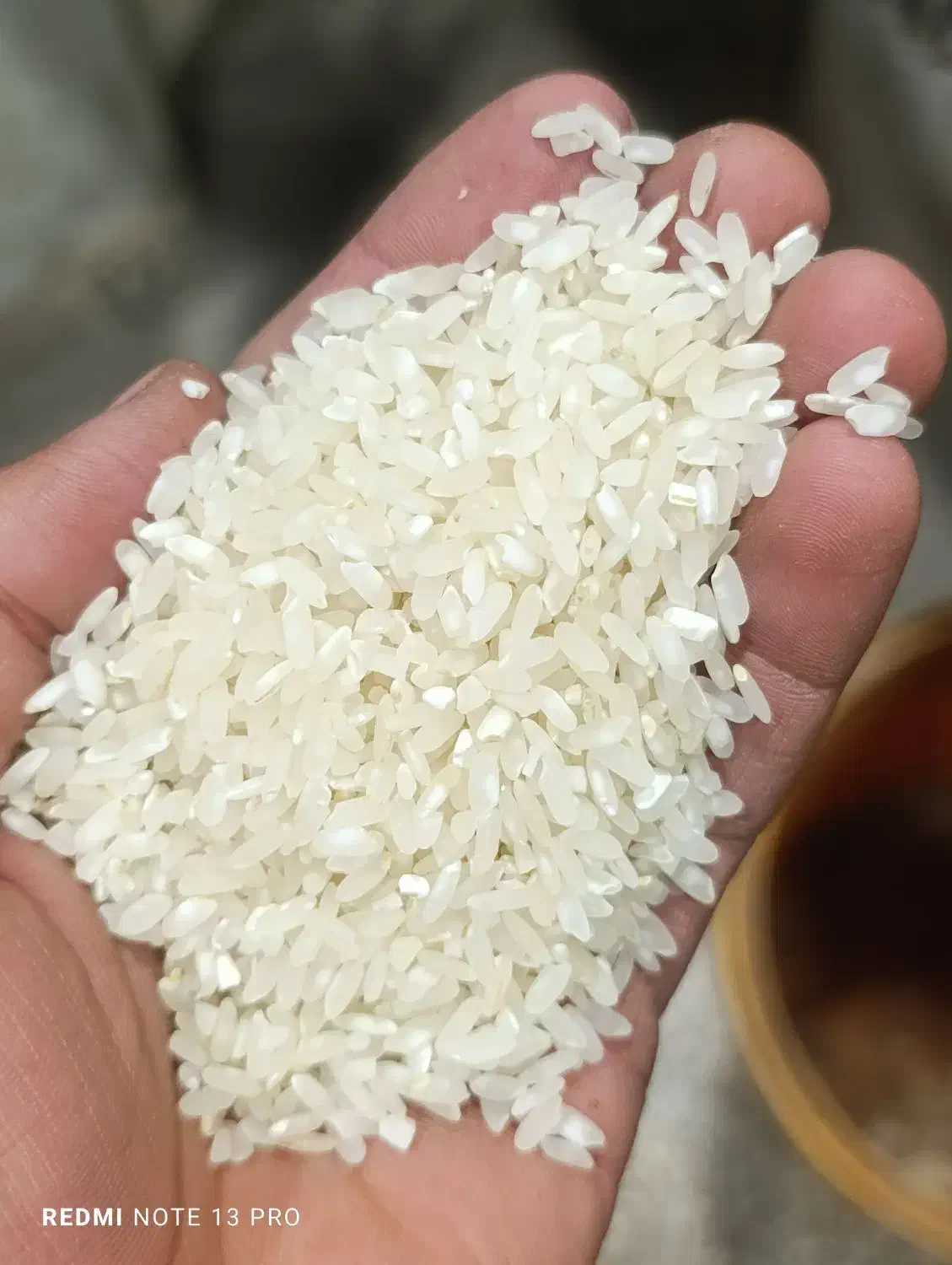 برنج کامفیروی|خوردنی و آشامیدنی|کامفیروز, |دیوار