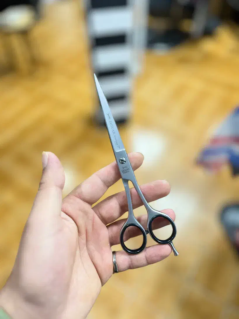 قیچی پیرایش|آرایشی، بهداشتی، درمانی|بندر انزلی, نوغان|دیوار