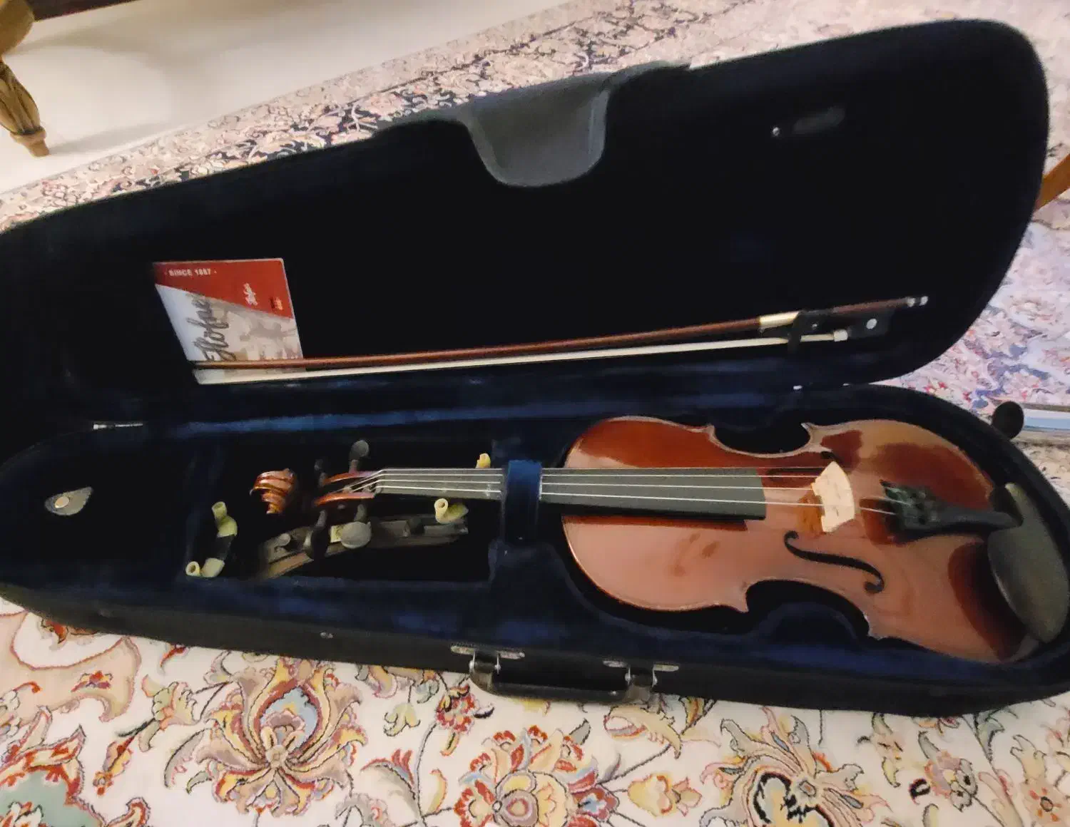 ویولن ۲/۴|ویولن|فردیس, نسترن غربی|دیوار