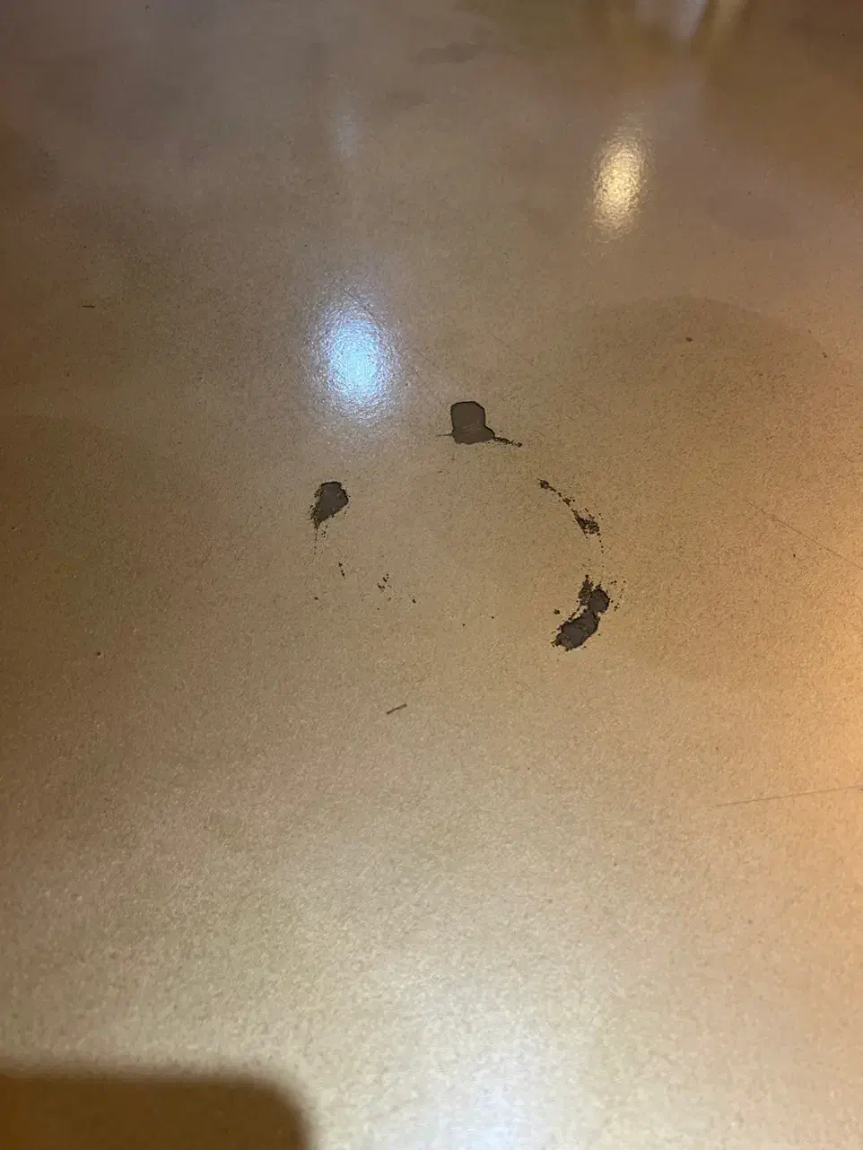 میزنهارخوری ۶ نفره فروش فوری ۱۵|میز و صندلی غذاخوری|مشهد, الهیه|دیوار