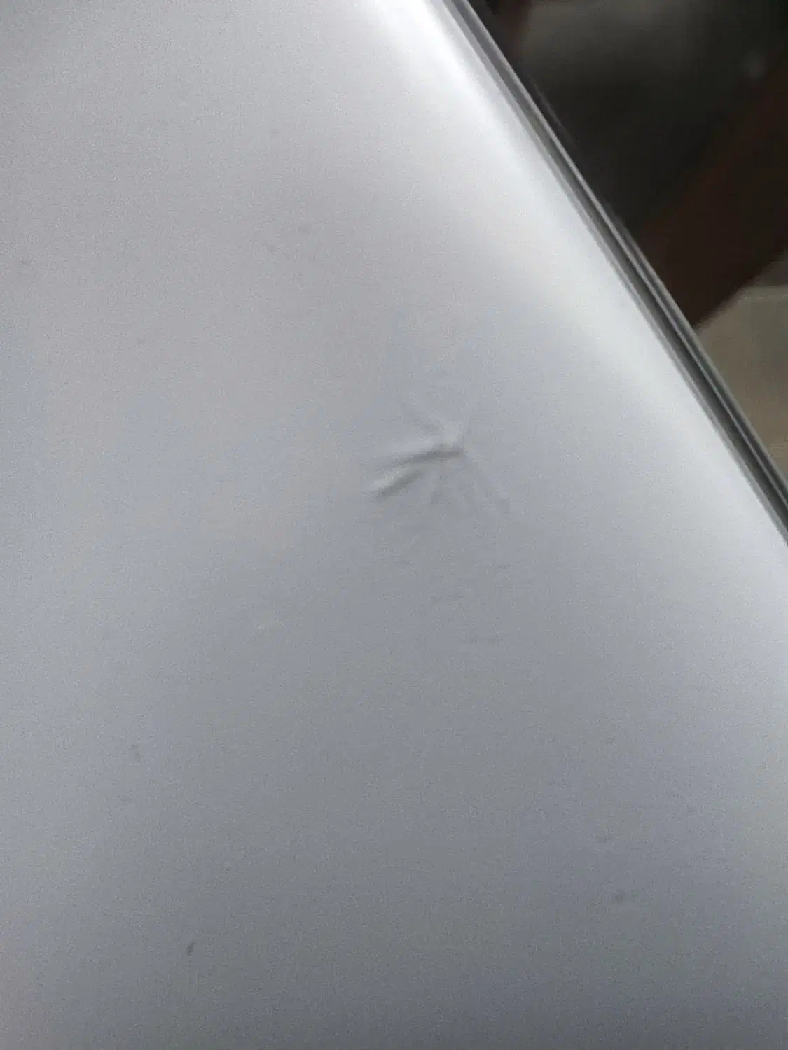 پوکو m5s|موبایل|قنوات, |دیوار