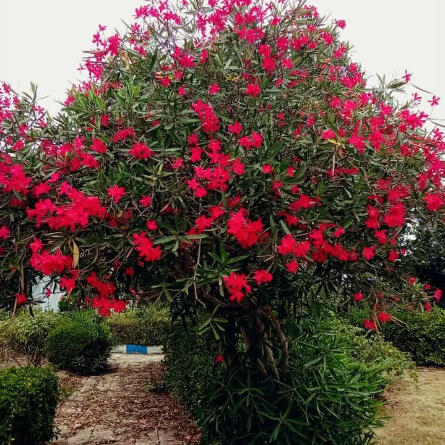 کار|استخدام سرایداری و نظافت|تهران, بریانک|دیوار