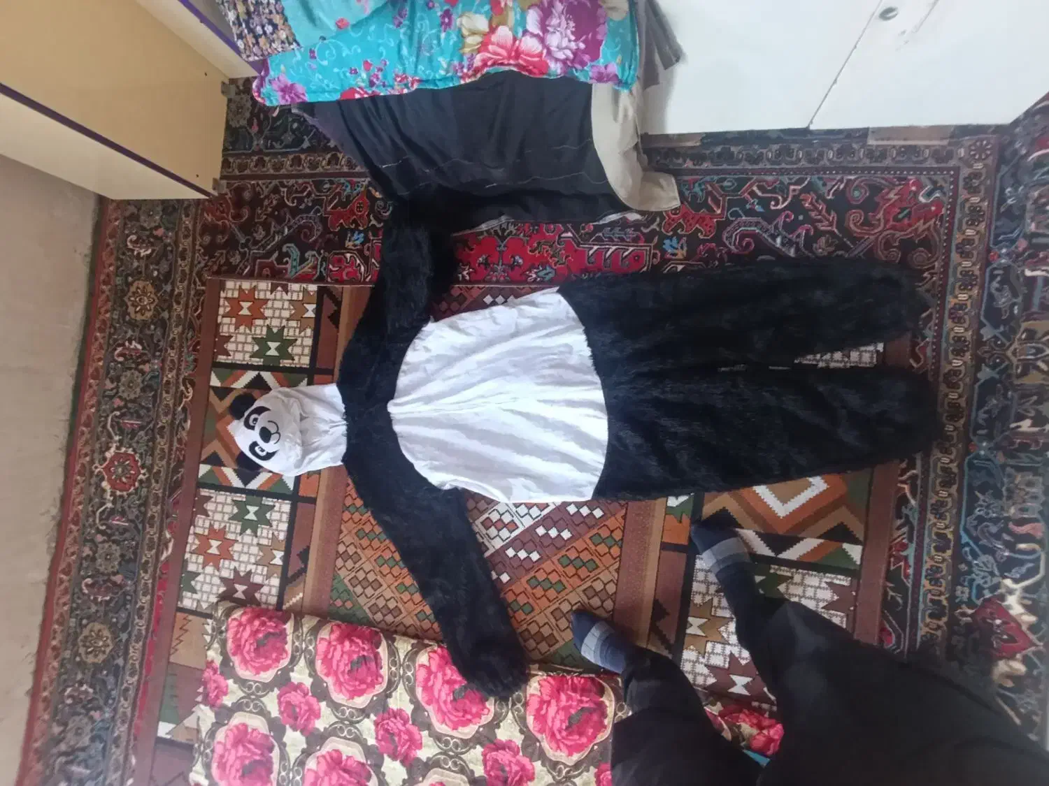 لباس پاندا مهربون|لباس|مرند, |دیوار