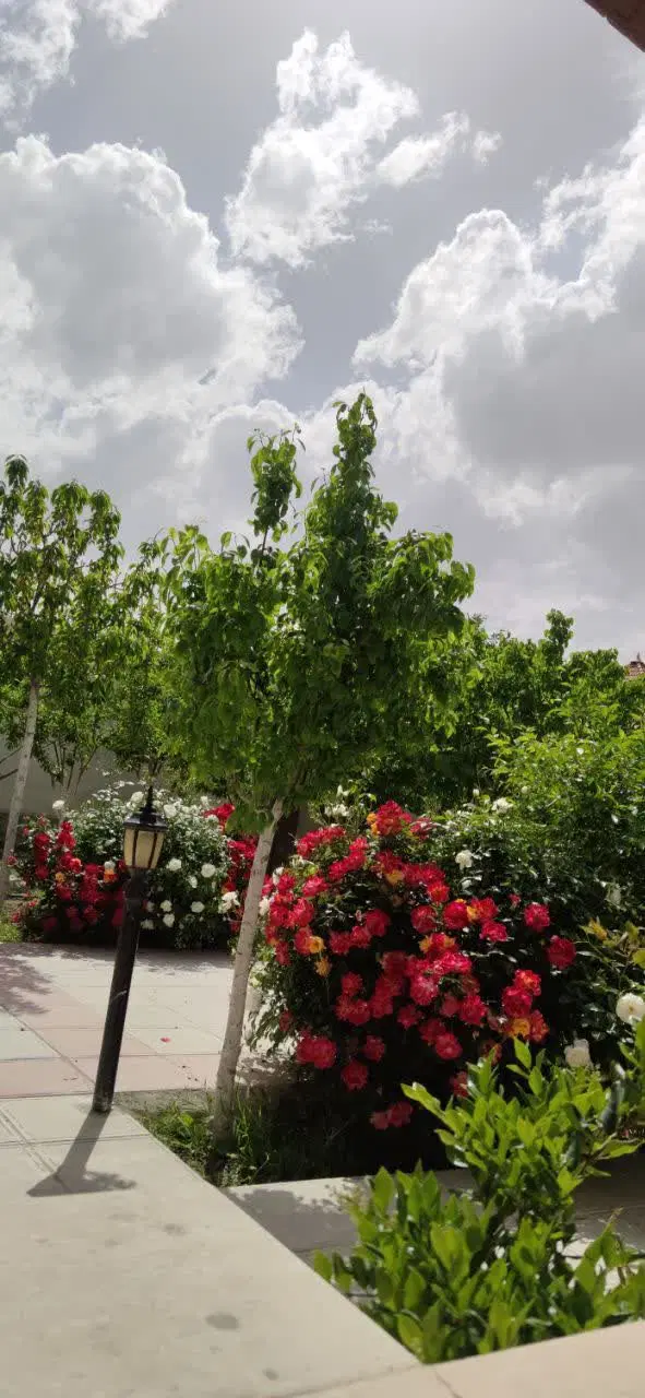 تصویر 4