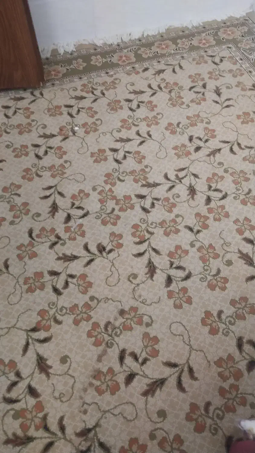 تلویزیون مارشال ۵۵اینج|تلویزیون و پروژکتور|یزد, |دیوار