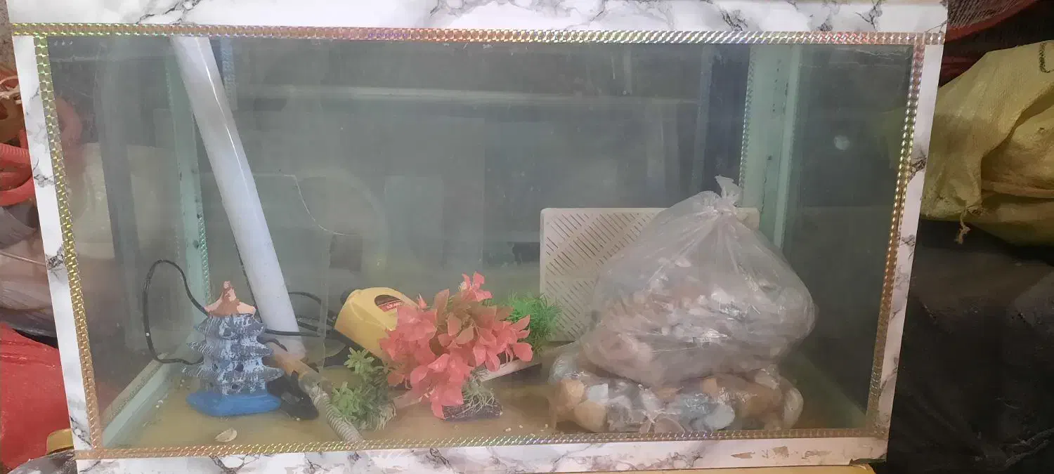 آکواریوم|ماهی|ملکان, |دیوار