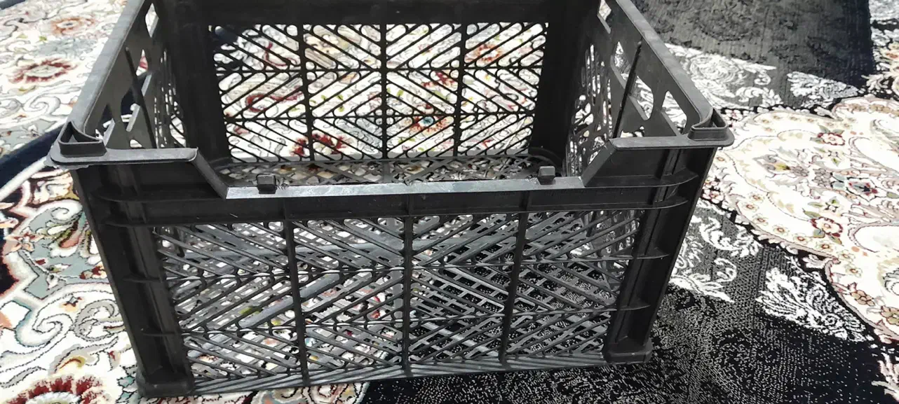 سبد ۱۴ کیلو درجه یک میوه|ظروف نگهدارنده، پلاستیکی، یکبارمصرف|بندرعباس, |دیوار