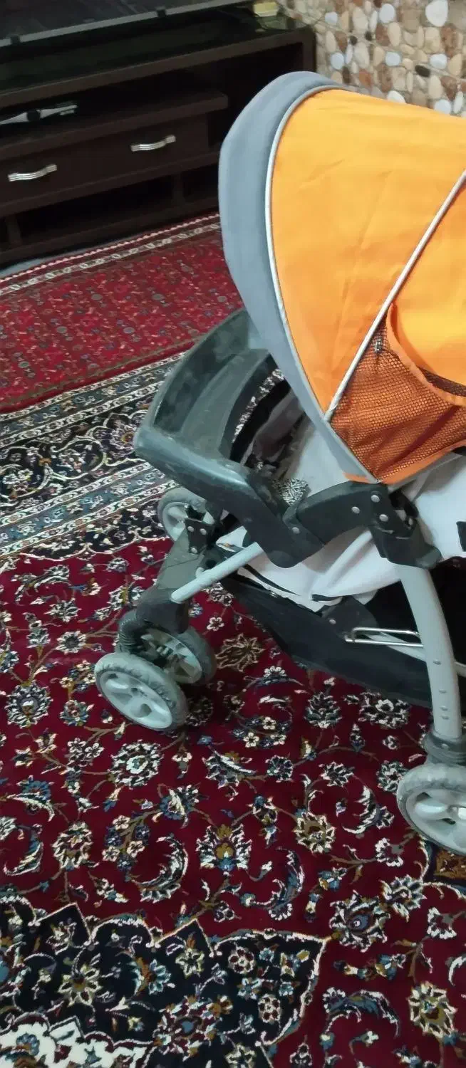 کالسکه|کالسکه و لوازم جانبی|همدان, |دیوار