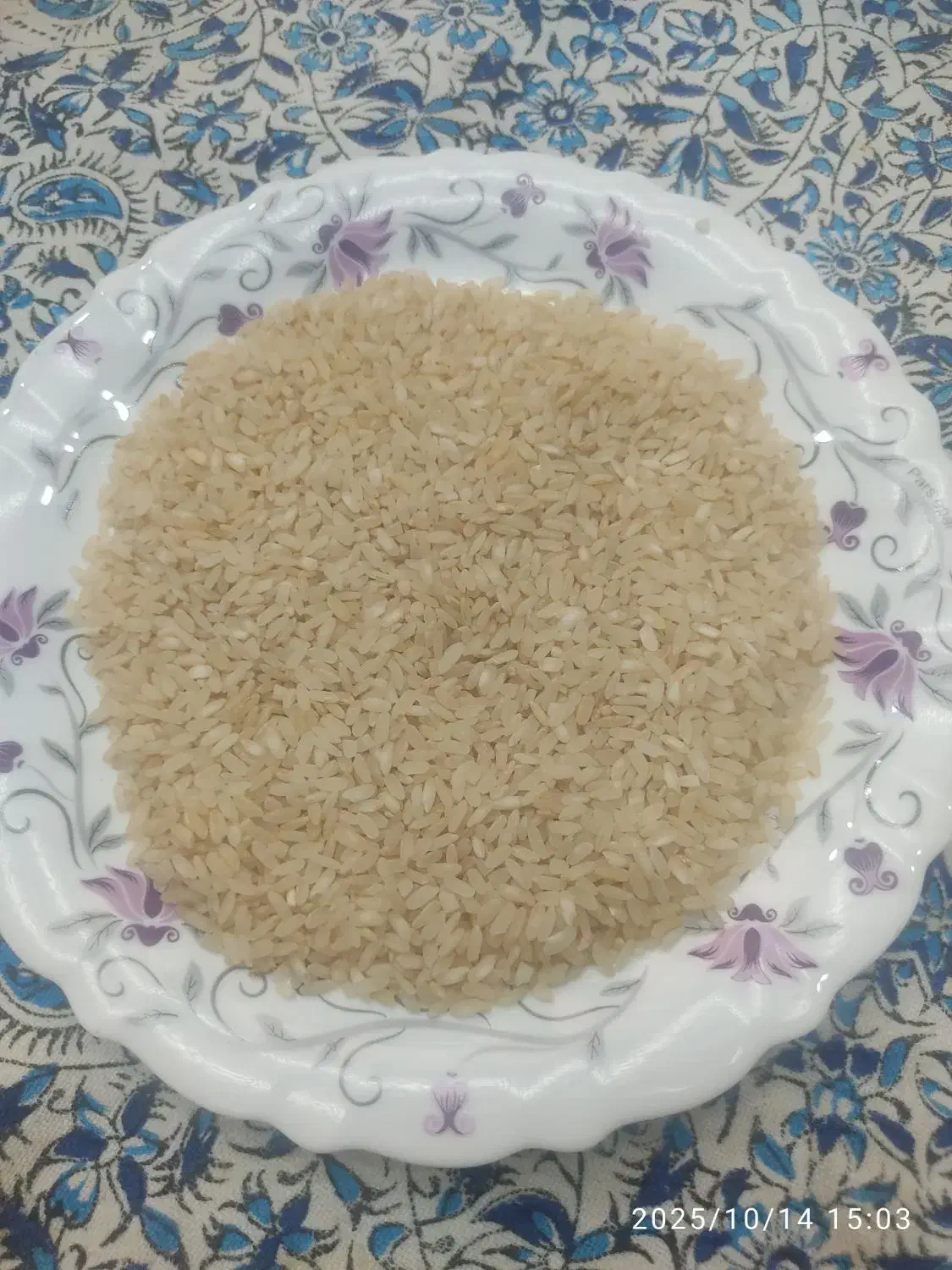 برنج کامفیروزی صد در صد به شرط|خوردنی و آشامیدنی|شیراز, سجادیه|دیوار
