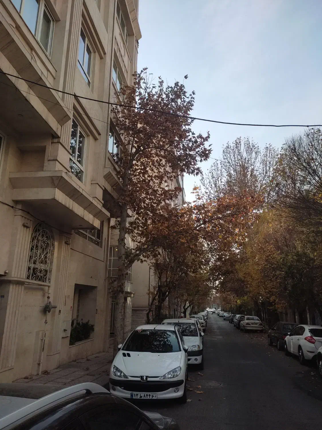 102 متر 8 ساله فول ، فرعی دنج طاهری تهرانپارس|اجارهٔ آپارتمان|تهران, تهرانپارس غربی|دیوار