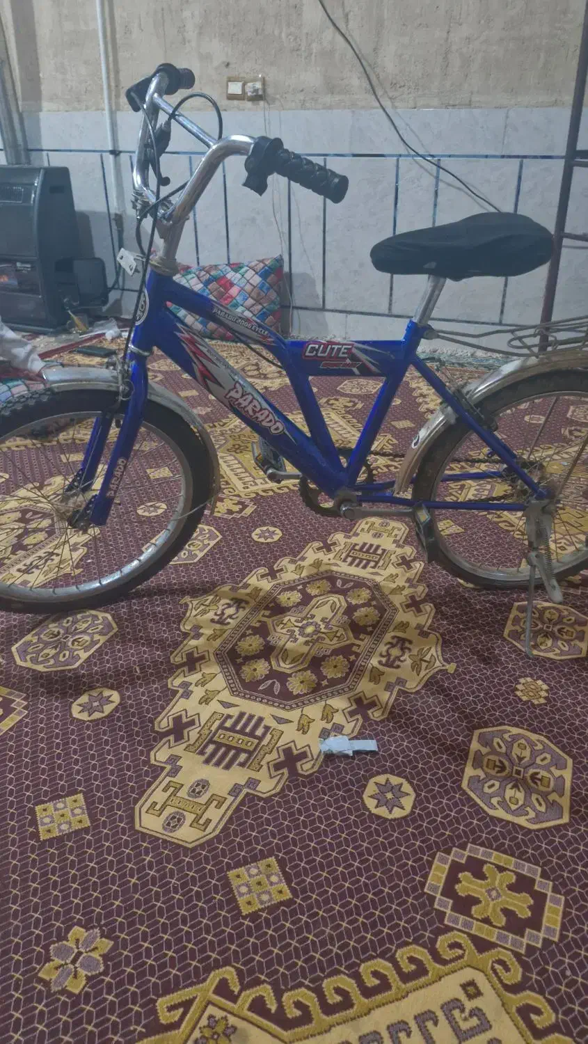 دوچرخه|دوچرخه، اسکیت، اسکوتر|رودشت (چهارمحال و بختیاری), |دیوار