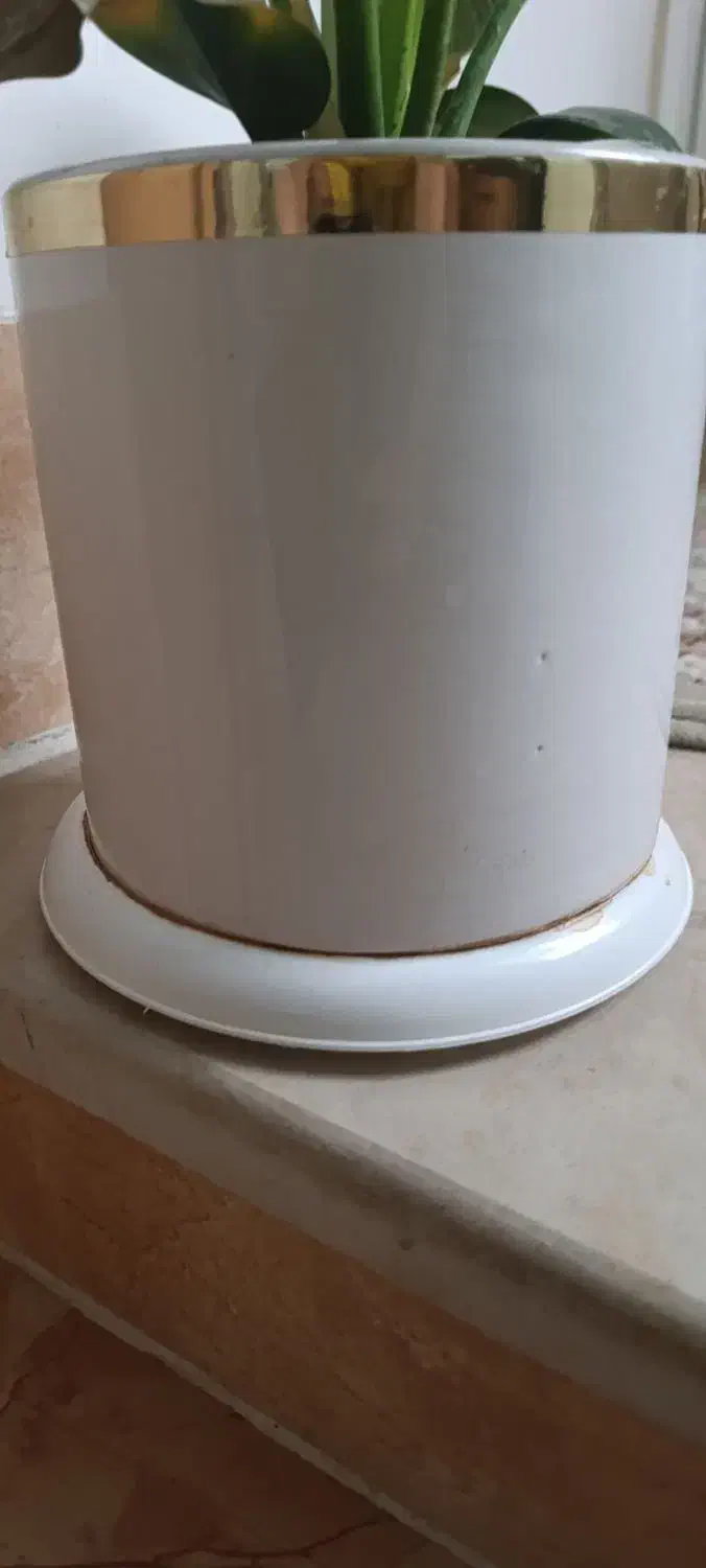 تعدادی گلدان|گل و گیاه طبیعی|ایوانکی, |دیوار