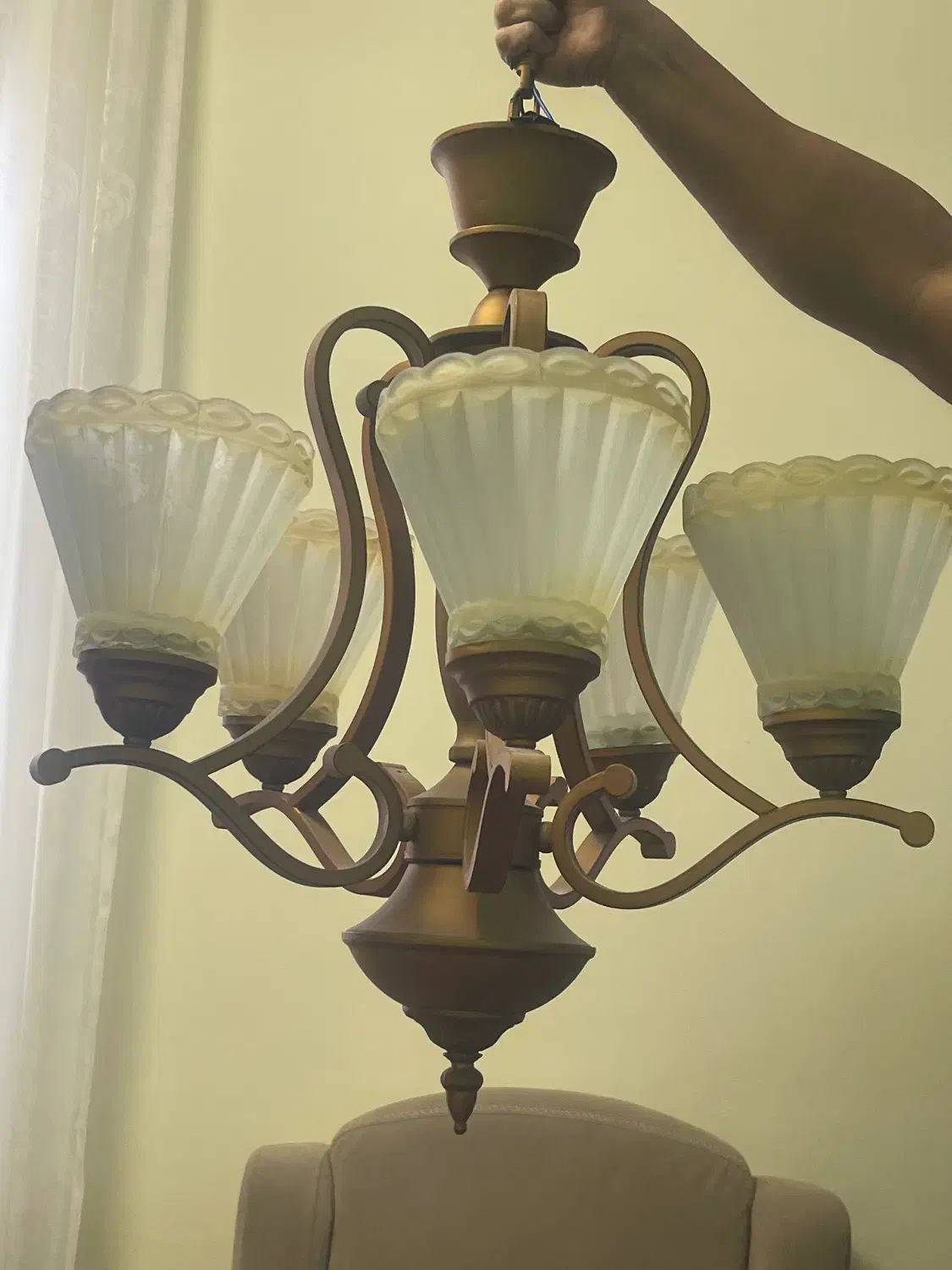 لوستر ۵ شاخه|لوستر و چراغ آویز|کیش, |دیوار