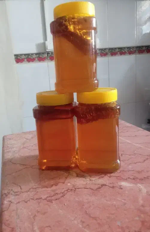 عسل طبیعی|خوردنی و آشامیدنی|دهگلان, |دیوار