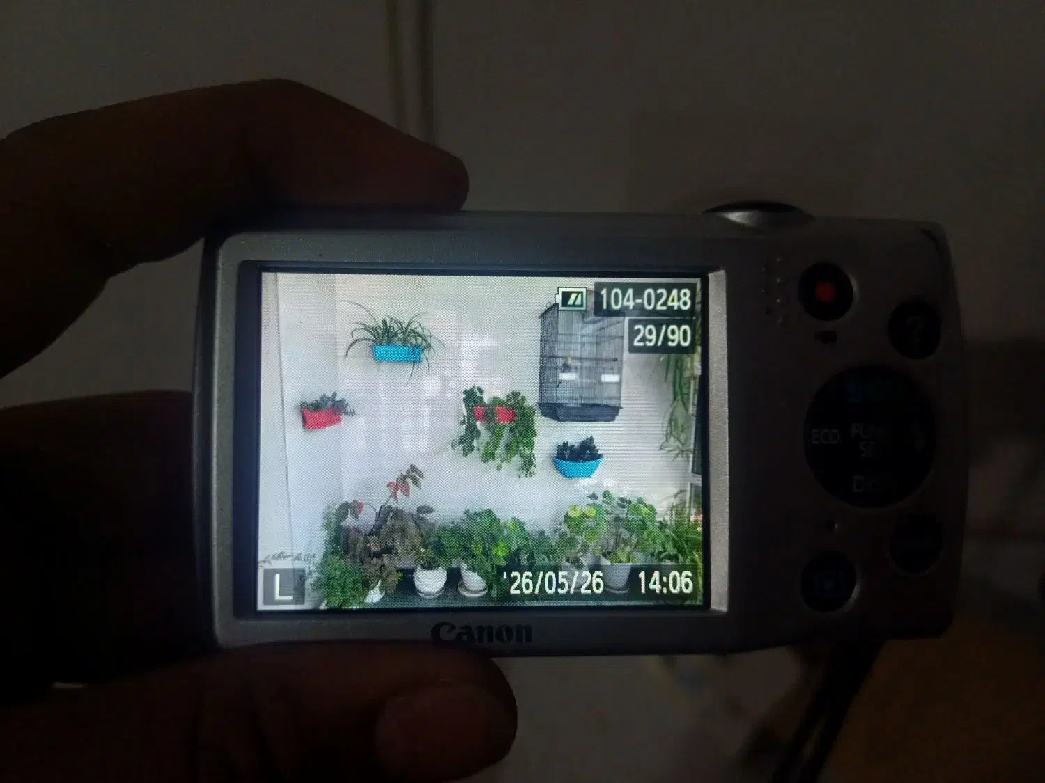 دوربین عکاسی دیجیتال|دوربین عکاسی و فیلم‌برداری|هشتگرد, گلسار|دیوار