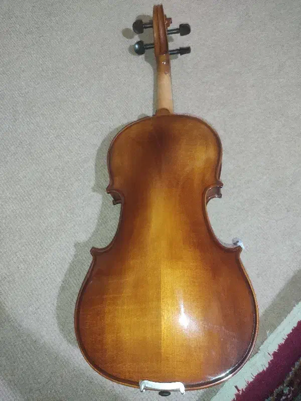 ویولن 4/4رناتو|ویولن|سنندج, |دیوار