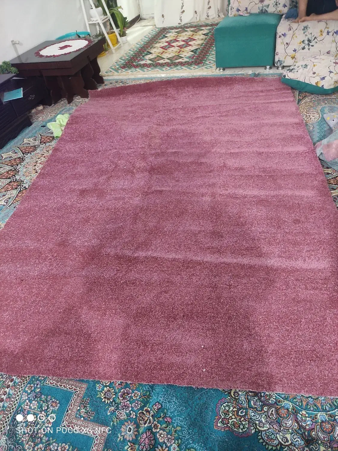 پالاز موکت۲در۳نو خوش رنگ|فرش|کرمان, |دیوار