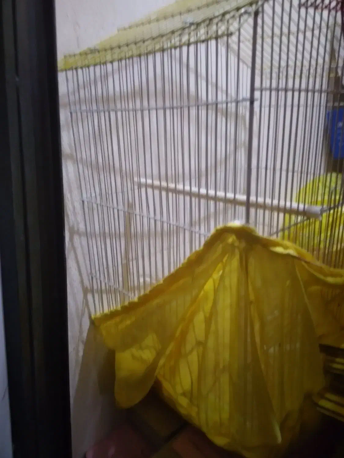 قفس پرنده|لوازم جانبی حیوانات|تهران, شارق|دیوار