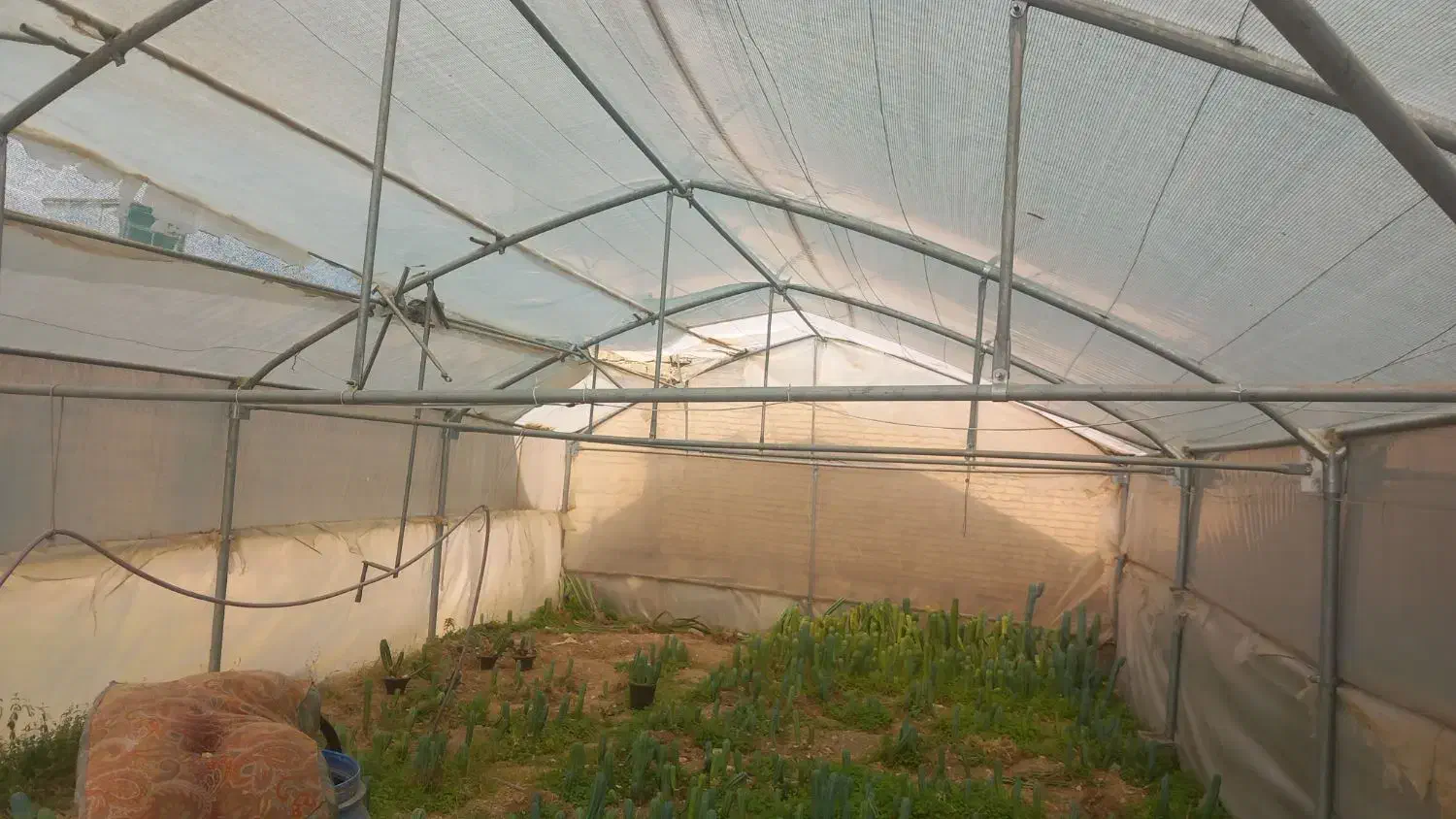 سازه گلخانه|ابزارآلات|فارسان, |دیوار