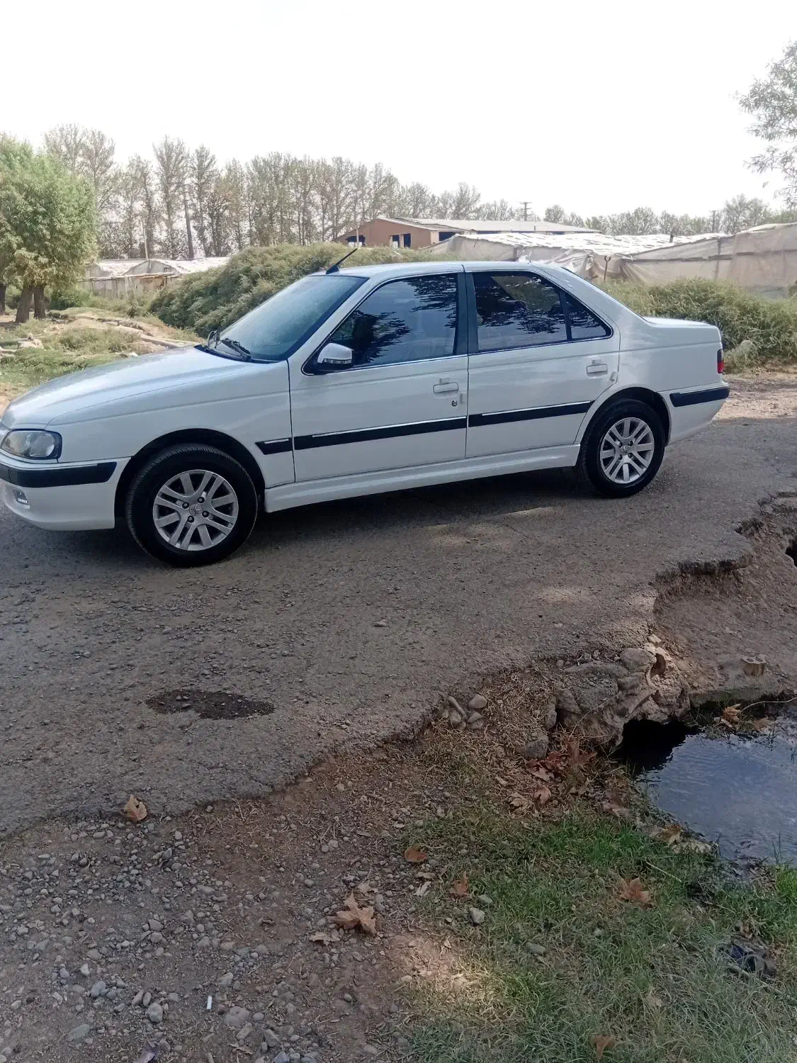پژو پارس مدل ۱۴۰۳ سفارشی فول ELXبدون رنگ بدون نقطه|خودرو سواری و وانت|پاکدشت, پاکدشت (مامازند)|دیوار