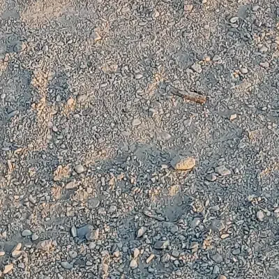 زمین فروشی پیامبراعظم۵و۷|فروش زمین و ملک کلنگی|زابل, |دیوار