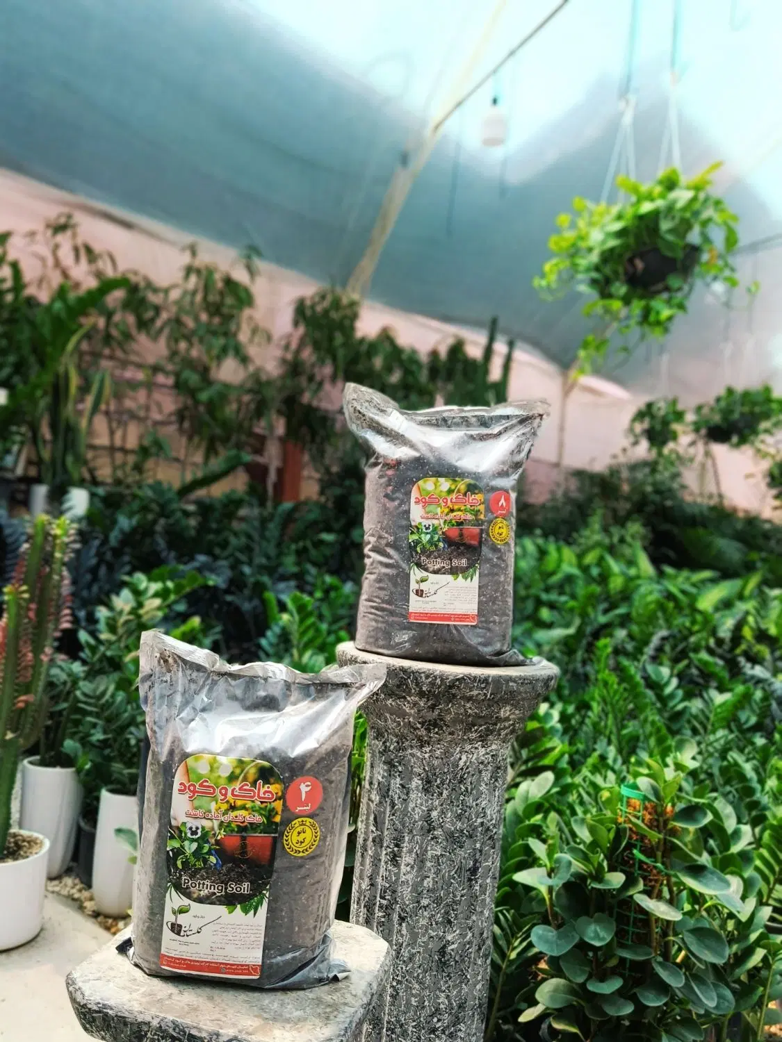 پخش عمده، تک، گل طبیعی حراج، ارزانتر از همه جا|خدمات باغبانی و درختکاری|اصفهان, رزمندگان|دیوار
