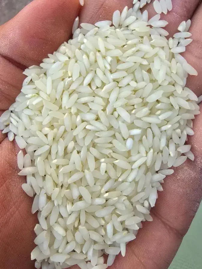 برنج عنبربو(الوان)|خوردنی و آشامیدنی|کوهدشت, |دیوار