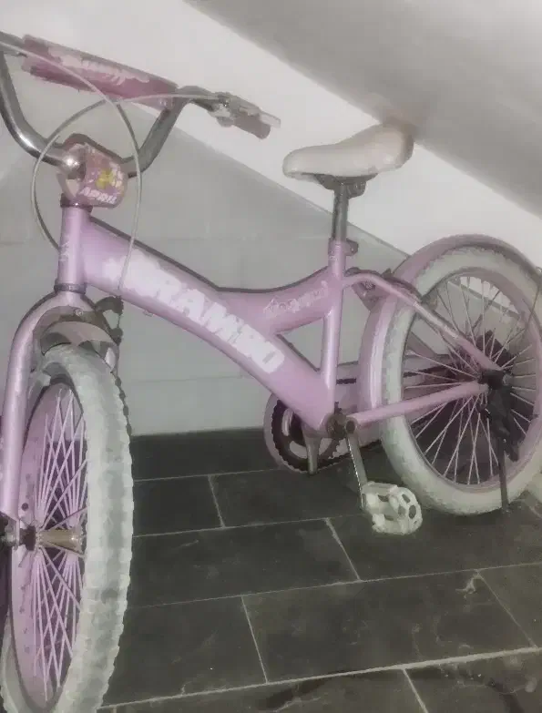 دوچرخه ۲۰|دوچرخه، اسکیت، اسکوتر|صدرا-فارس, فاز ۱|دیوار