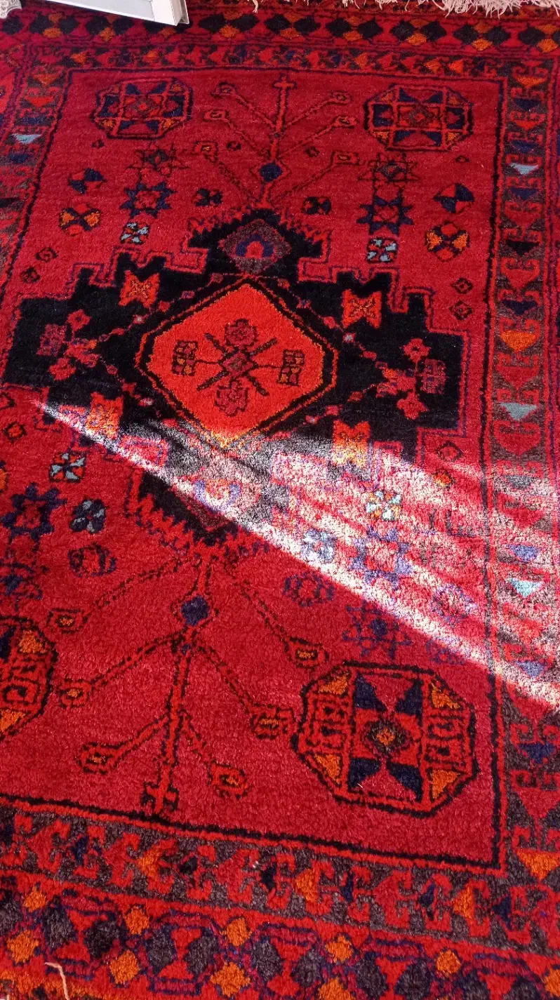 قالی دستباف بختیاری|فرش|نجفآباد, یزدانشهر|دیوار