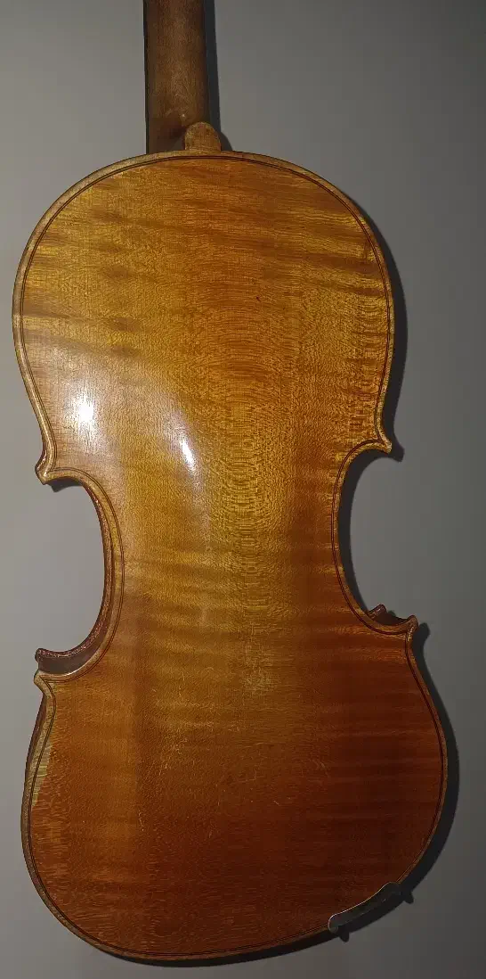 ویولن اشتاینر آلمانی|ویولن|لواسان, |دیوار