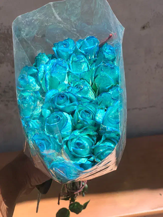 (فریمان)استخدام کارگراقادرگلخانه گل رزشاخه بریده|استخدام صنعتی، فنی، مهندسی|مشهد, کوشش|دیوار