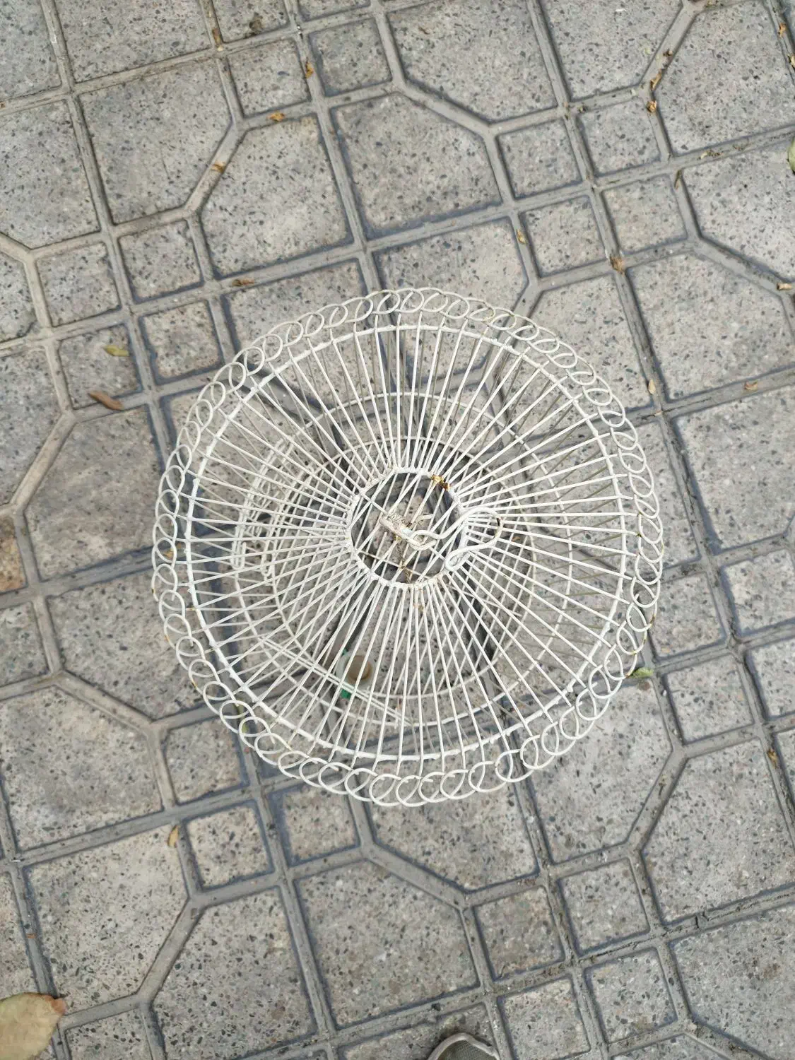 قفس پرنده|لوازم جانبی حیوانات|تهران, شهرک آزمایش|دیوار