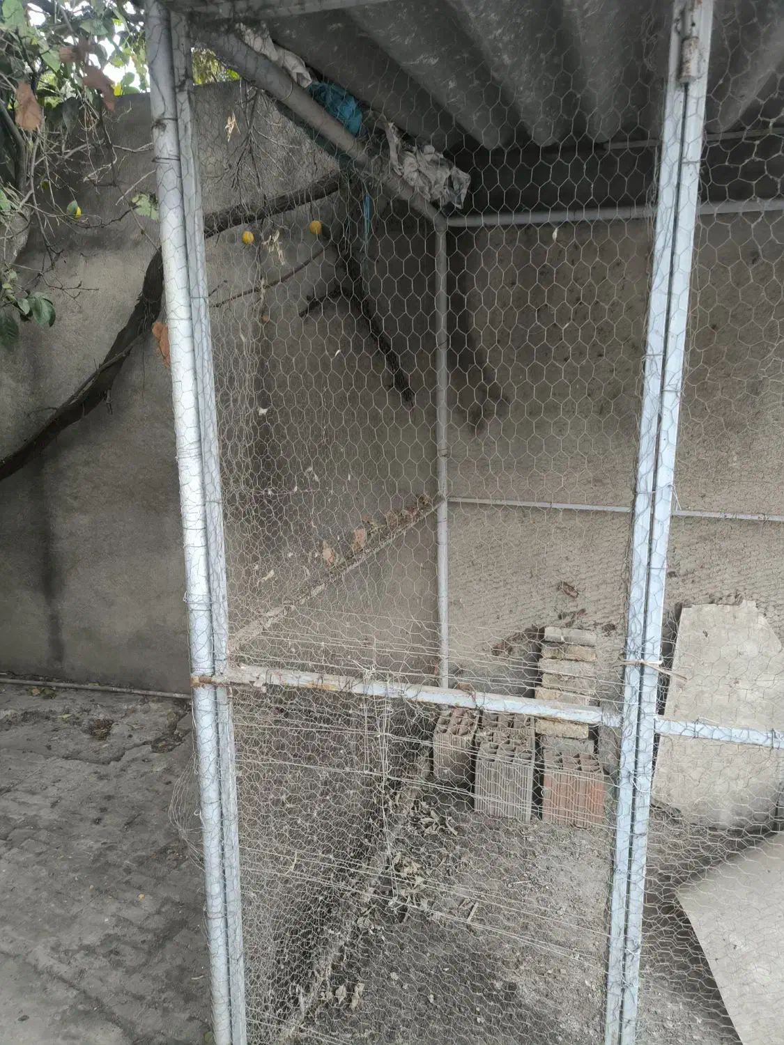 قفس بزرگ آهنی حیوان و پرنده|لوازم جانبی حیوانات|گرگان, |دیوار