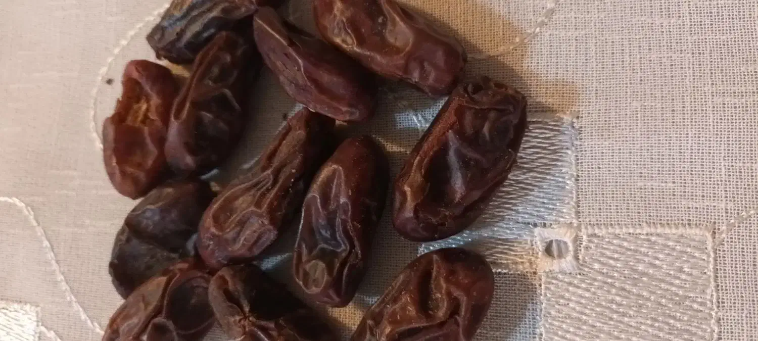 خرما|لوازم جانبی حیوانات|تهران, شمس‌آباد|دیوار