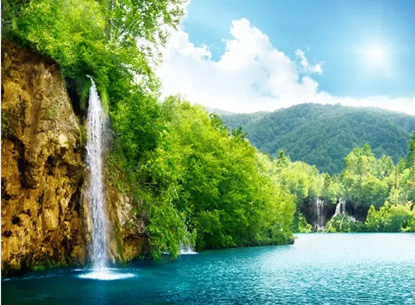 طبیعت گردی|فعالیت داوطلبانه تحقیقاتی|کرمان, |دیوار