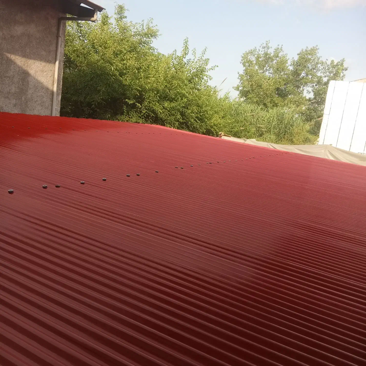 نجاری وحلب زنی ساختمان|خدمات پیشه و مهارت|رشت, آب و برق|دیوار