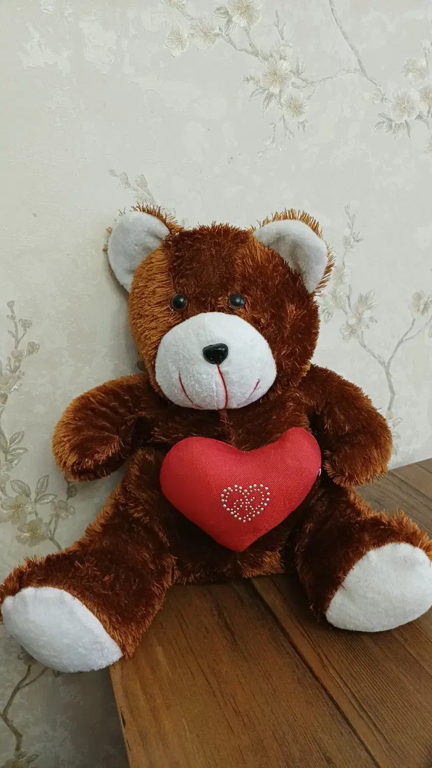 خرس|اسباب‌‌بازی|زنجان, |دیوار