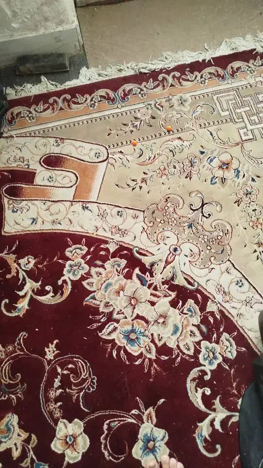 فرش 12متری|فرش|فولادشهر, B6|دیوار