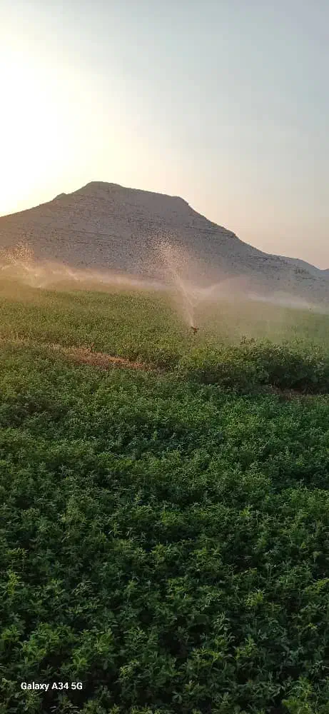 فروش فواره بارانی|خدمات باغبانی و درختکاری|شیبکوه (فارس), |دیوار