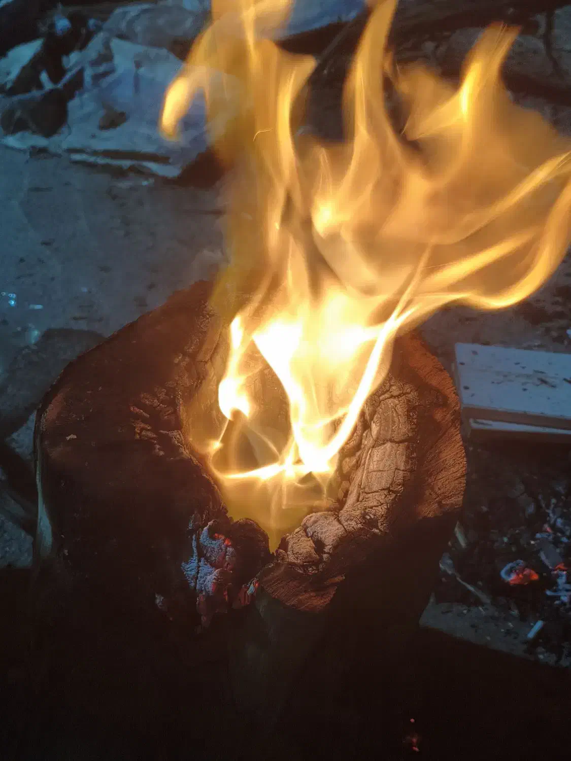 هیزم دورهمی|کوهنوردی و کمپینگ|قم, بیانی|دیوار