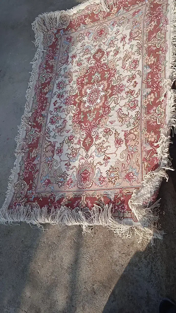 فرش دستبافت|فرش|ملکان, |دیوار