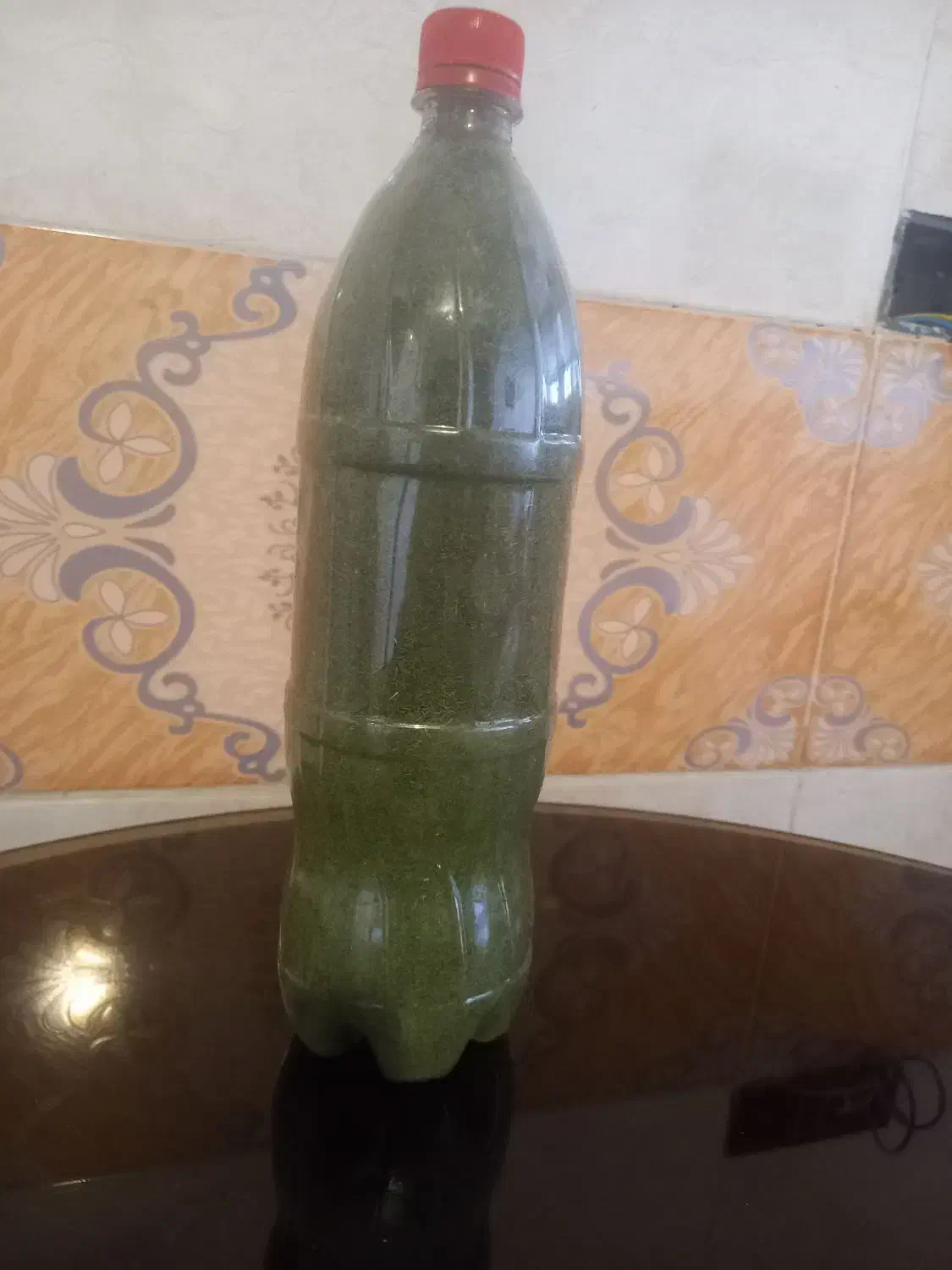 شوید خشک|خوردنی و آشامیدنی|رومشکان, |دیوار