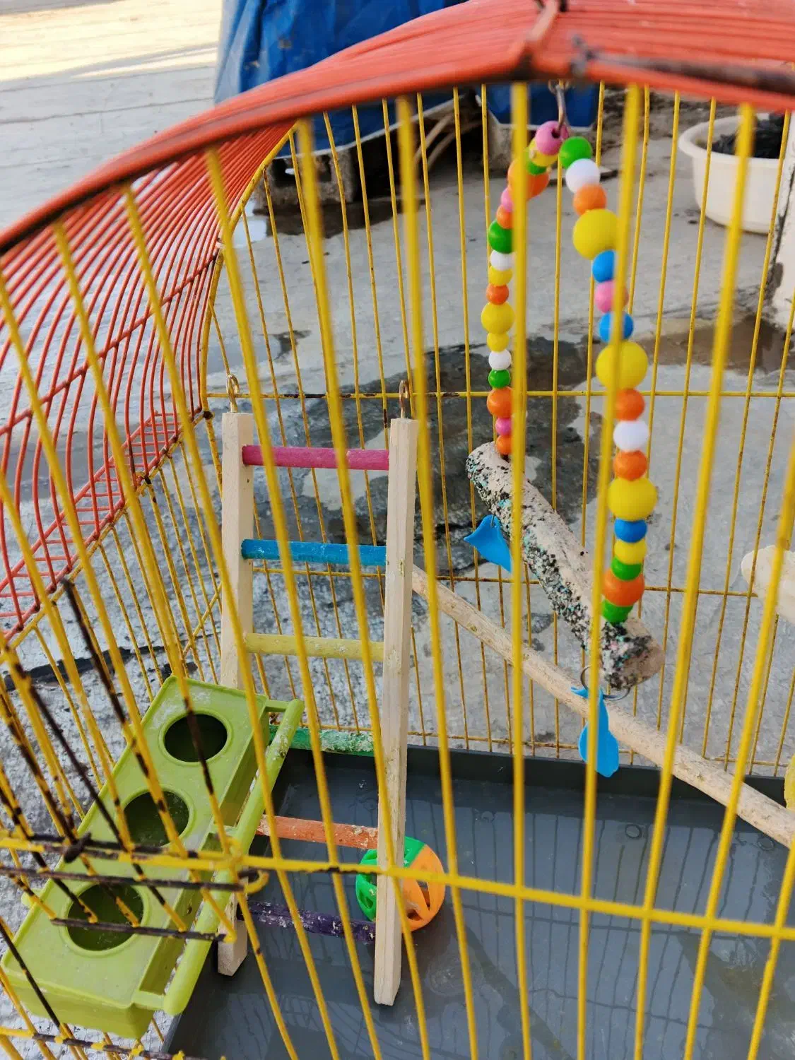 قفس|لوازم جانبی حیوانات|بانه, |دیوار