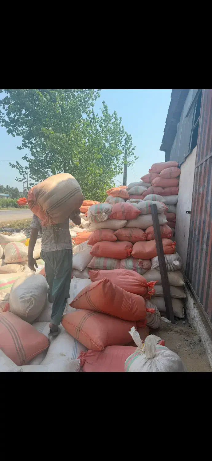 سبوس برنج|عمدهفروشی|آمل, |دیوار