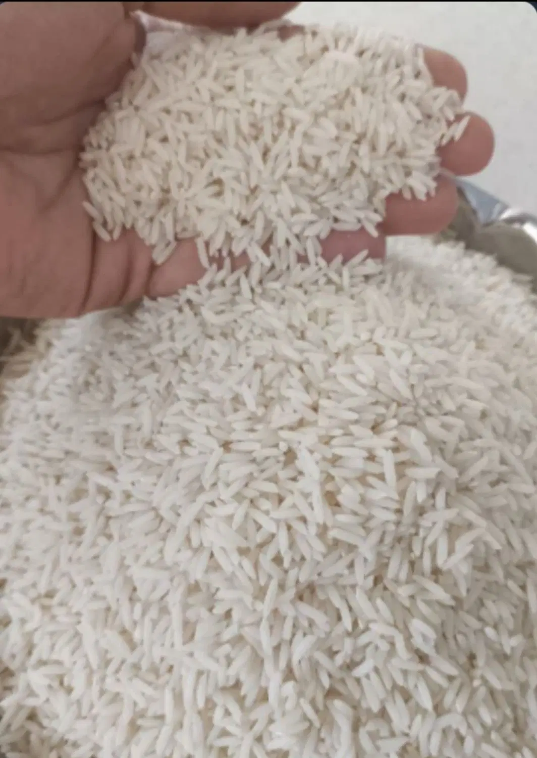 برنج طارم هاشمی|خوردنی و آشامیدنی|تهران, تهرانسر مرکزی|دیوار