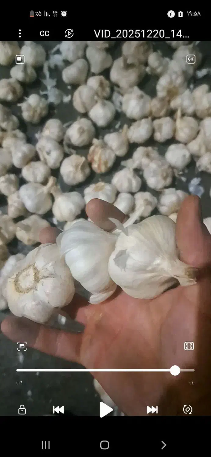 سیردرجه ۱سردخانه ای|خوردنی و آشامیدنی|شهریار, شهریار|دیوار