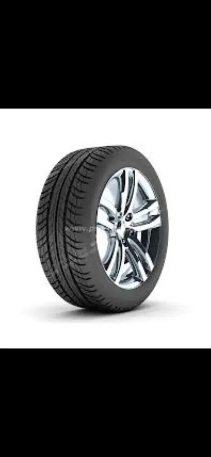 پیدا شده|اشیا|اسفرورین, |دیوار